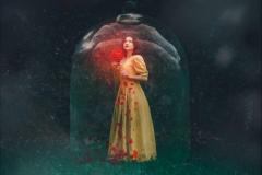 Tania Gandrabur Photography