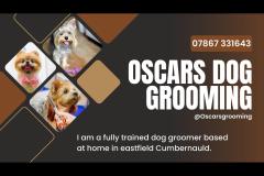 Oscars Dog Grooming Cumbernauld