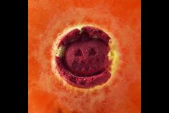 Fairy Floss Makers High Wycombe - 10