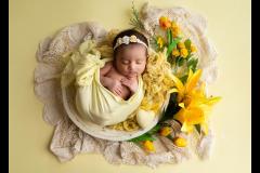 Oana Puie Photography