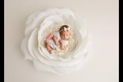 Oana Puie Photography - 10