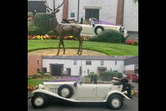 Coventry Wedding Cars - 8