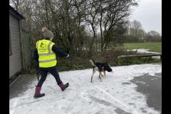 Carter's Pet Services Birmingham