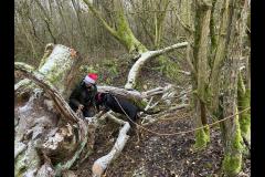 Carter's Pet Services Birmingham