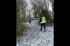 Carter's Pet Services Birmingham