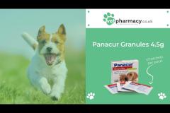 Vet Pharmacy