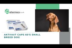 Vet Pharmacy