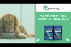 Vet Pharmacy - 8