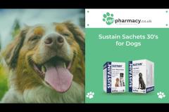 Vet Pharmacy - 13
