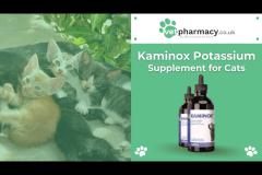 Vet Pharmacy - 14