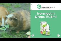 Vet Pharmacy - 16