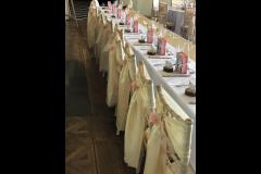 Sweet Fairy Weddings