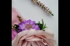 Wildlings & Aster - 8