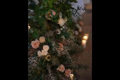 Wildlings & Aster - 14