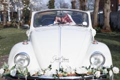 Stuart Anthony Photography