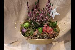 Lavender Garden Flowers Matlock - 7