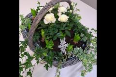 Lavender Garden Flowers Matlock - 13