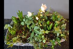 Lavender Garden Flowers Matlock - 17