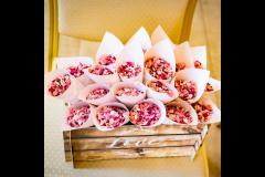 Jonathan David Photography - 6