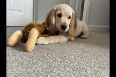 Jonathan David Photography - 11