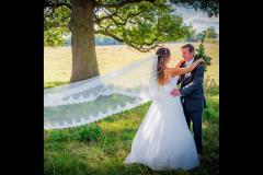 Jonathan David Photography - 15