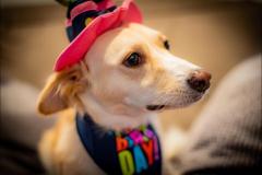 Jonathan David Photography - 16