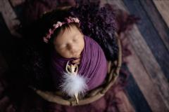 Mihai Gonguta Photo Studio - 14