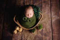 Mihai Gonguta Photo Studio - 17