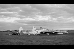 Petcu Florin Photography - 1