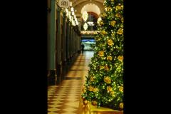 Petcu Florin Photography - 17