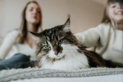 Mairi Tiffoney Photography - 12