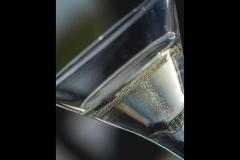 The Squirrel Coventry