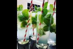 Hiccup Mobile Bar Hawick - 15