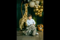 Irinel Livita Photography - 4