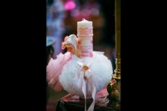 Irinel Livita Photography - 10