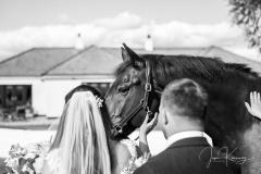 Jason Kenneway Photography - 9