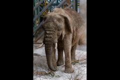 Neil Smith Photography - 7