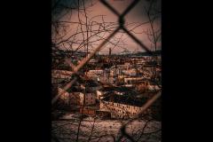 Neil Smith Photography - 11