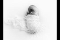 Anilorak Photography - 15