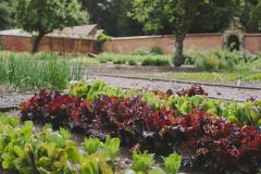 Hampton Manor Solihull - 11