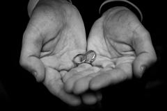 Imaging Eye Photography - 15