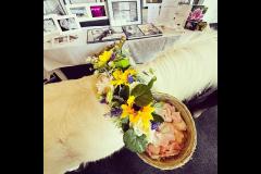 Imaging Eye Photography - 16