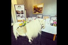 Imaging Eye Photography - 18