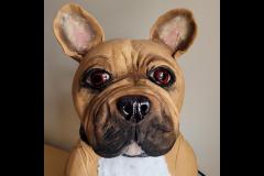 Danielles Cakes Pershore - 6