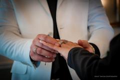 Ionut Tantan Photography - 11