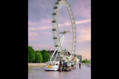 NMunteanu Photographer - 7