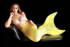 Sensual Passions Birmingham