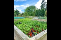 Hawkstone Hall & Gardens Shrewsbury - 16