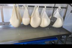 The Yorkshire Cheese Farm