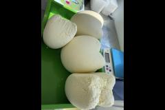 The Yorkshire Cheese Farm